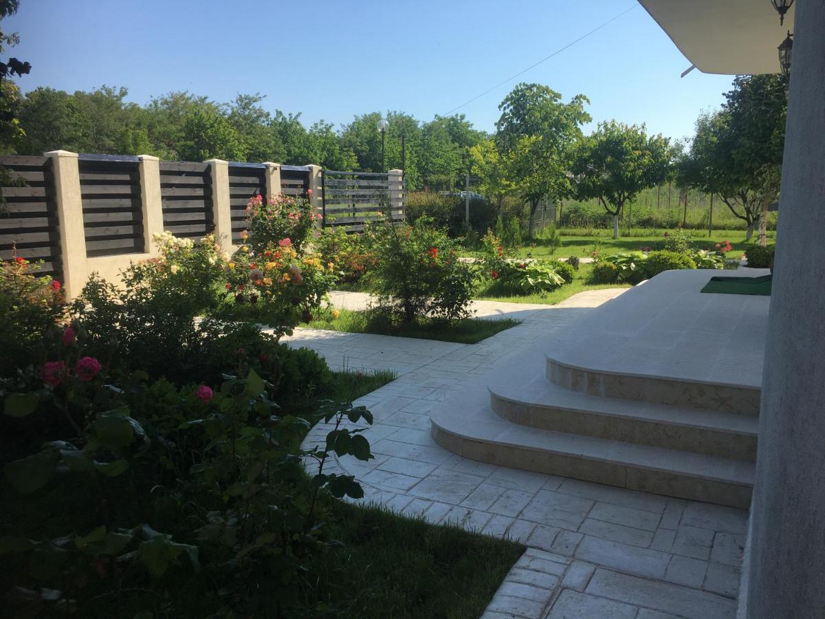 Vila Zoe Bucharestairport&Therme&Parking Otopeni Zewnętrze zdjęcie