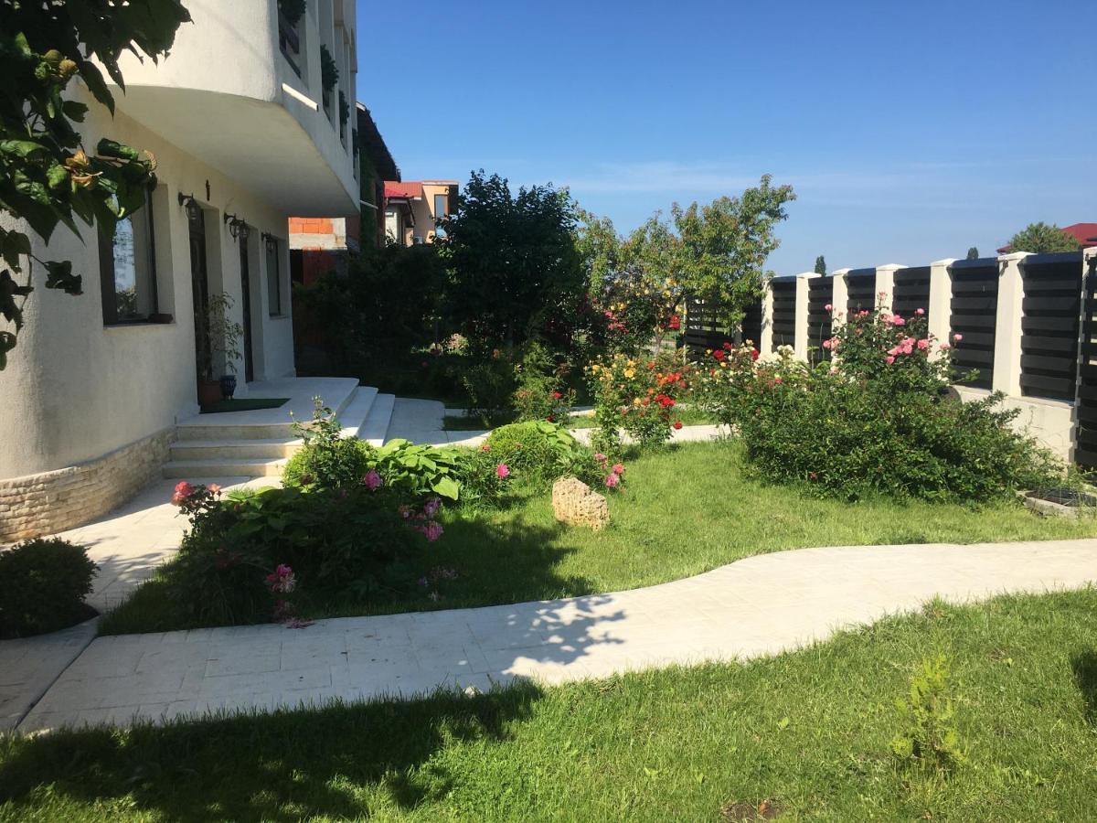 Vila Zoe Bucharestairport&Therme&Parking Otopeni Zewnętrze zdjęcie