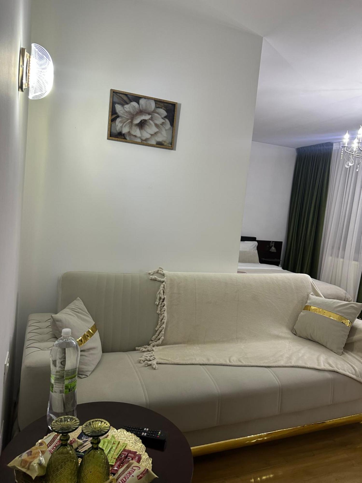 Vila Zoe Bucharestairport&Therme&Parking Otopeni Zewnętrze zdjęcie
