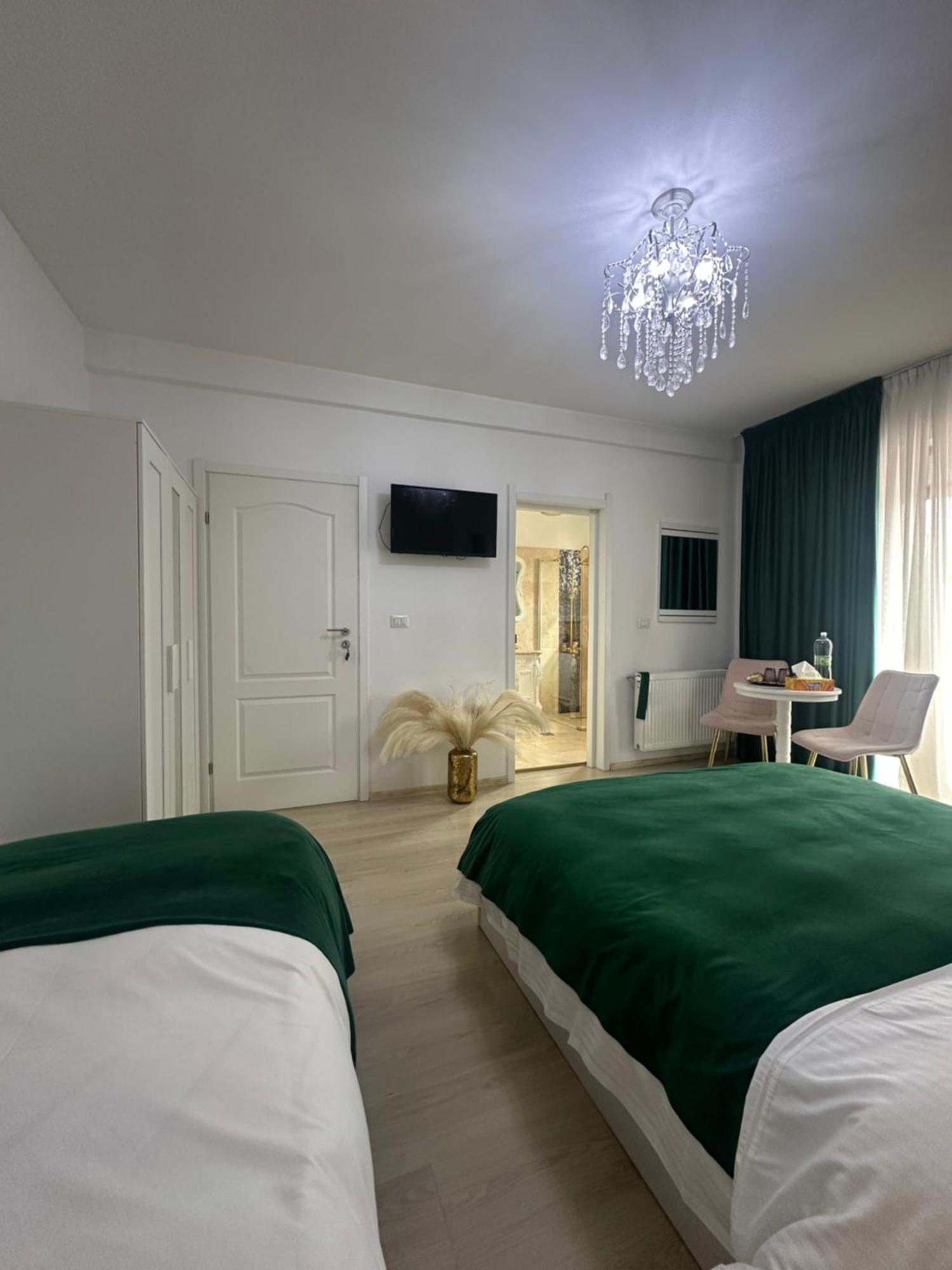 Vila Zoe Bucharestairport&Therme&Parking Otopeni Zewnętrze zdjęcie