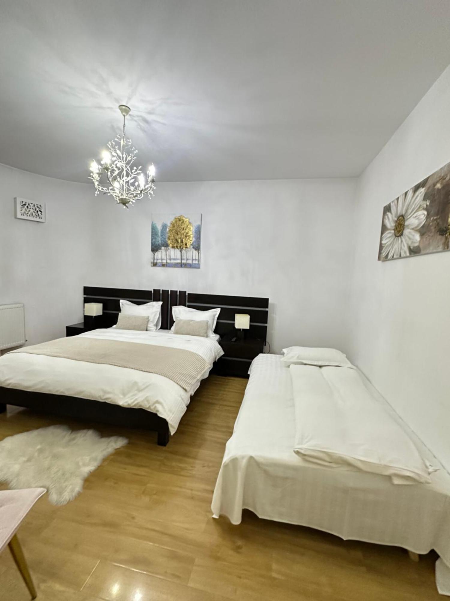 Vila Zoe Bucharestairport&Therme&Parking Otopeni Zewnętrze zdjęcie