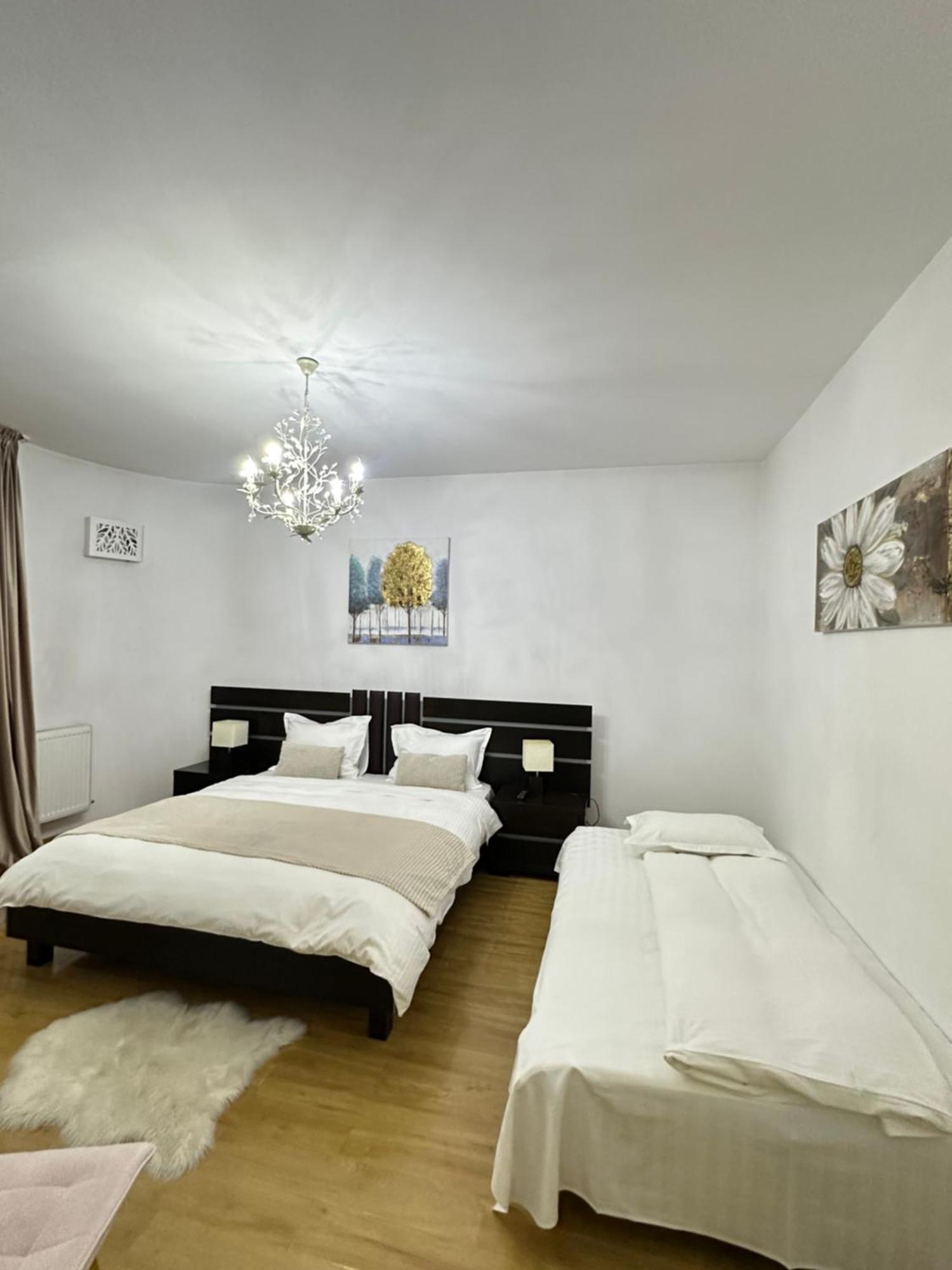 Vila Zoe Bucharestairport&Therme&Parking Otopeni Zewnętrze zdjęcie