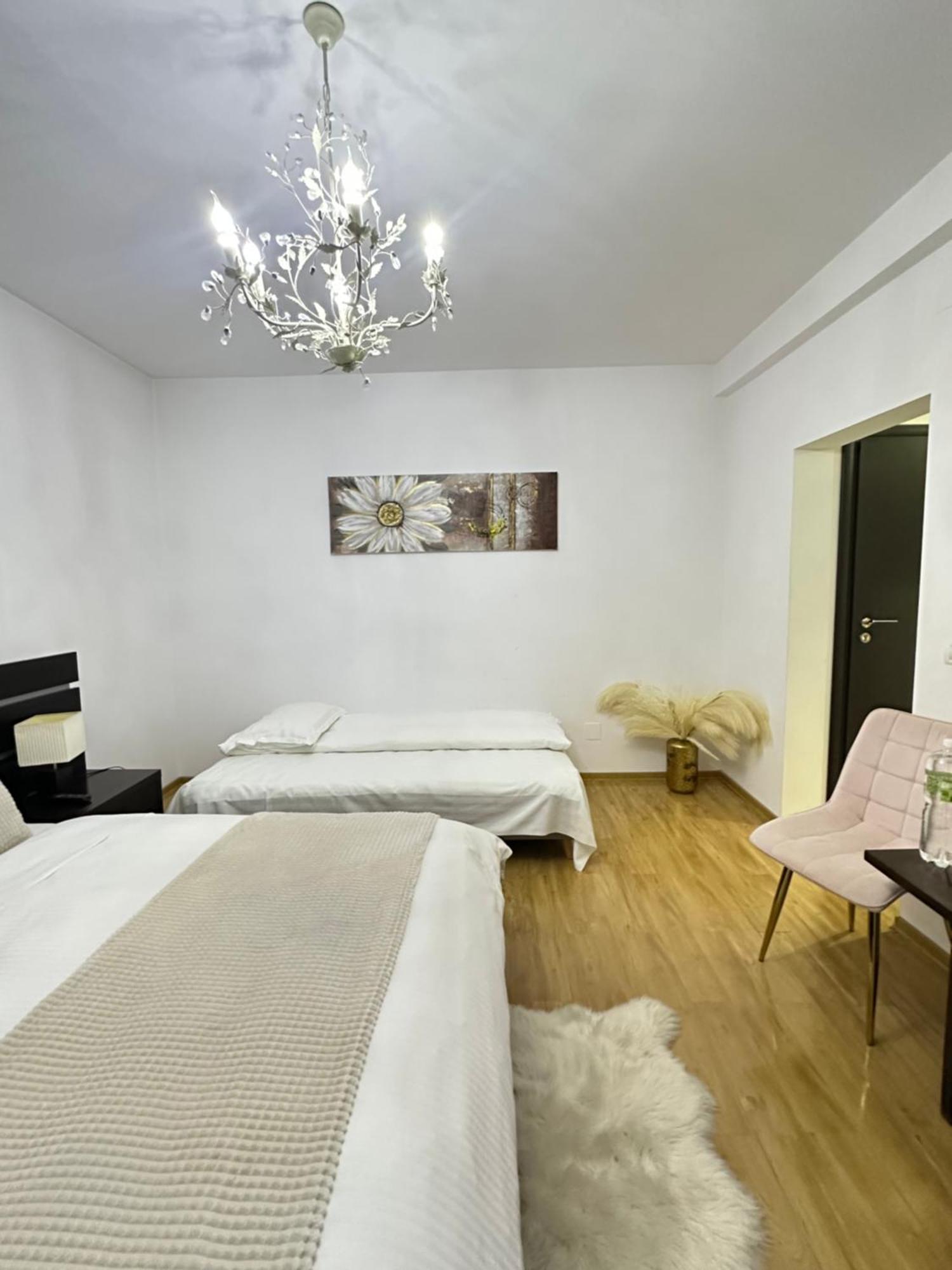 Vila Zoe Bucharestairport&Therme&Parking Otopeni Zewnętrze zdjęcie